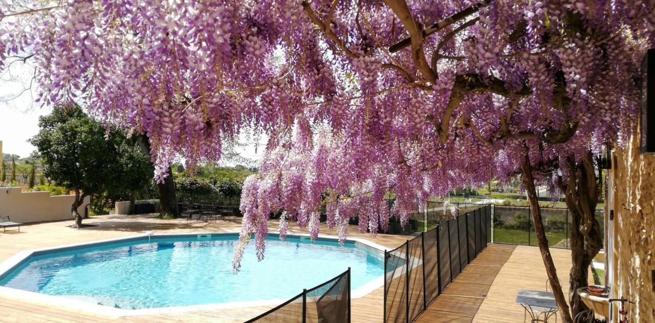 Chateau Montplaisir Charming B&B In Provence วัลเรอัส ภายนอก รูปภาพ