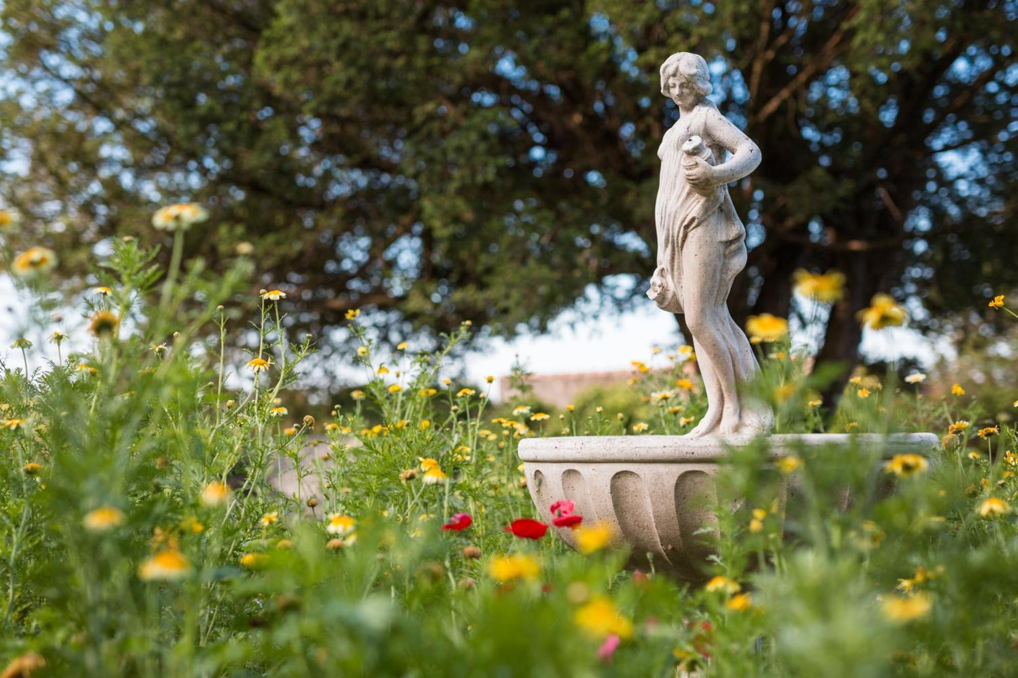 Chateau Montplaisir Charming B&B In Provence วัลเรอัส ภายนอก รูปภาพ